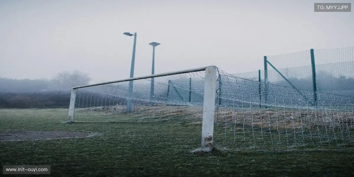 凤舞九天，无畏征途！🚀